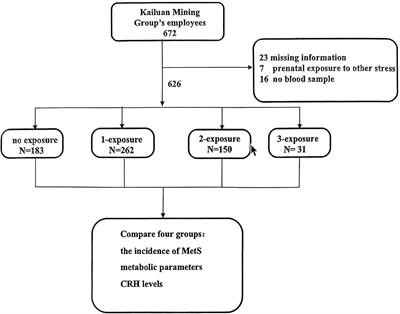 Effects of multiple stress events at different stages of life on the incidence of metabolic syndrome